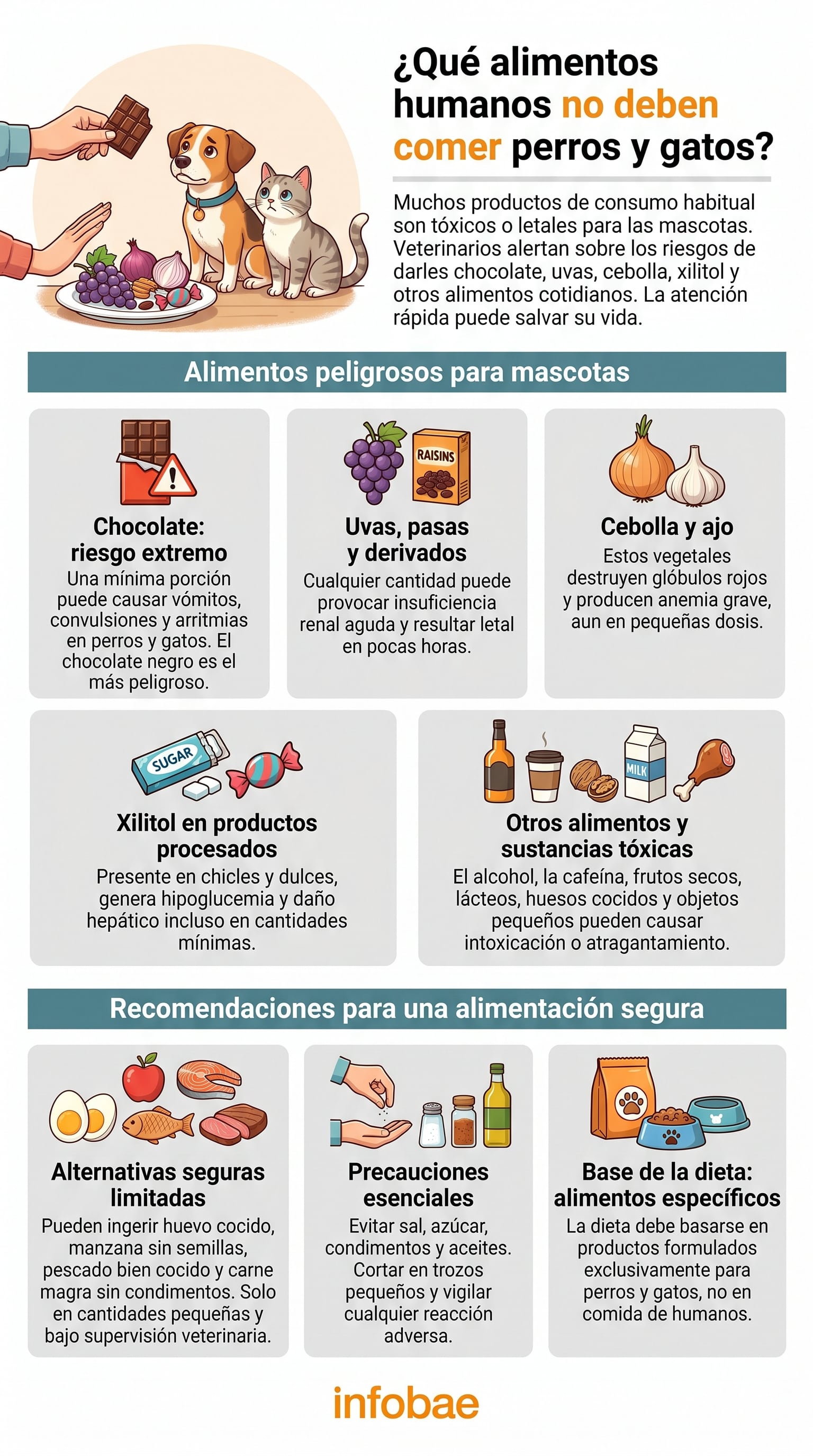 El chocolate negro concentra más teobromina y eleva el riesgo de intoxicación (Imagen Ilustrativa Infobae)