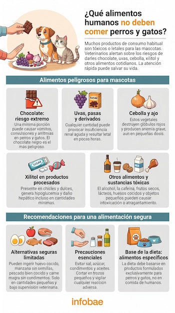 Infografía con un perro y un gato junto a alimentos peligrosos como chocolate, uvas y cebolla, y secciones informativas sobre dietas seguras para mascotas.