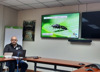 Gilberto Bolaños, del Smithsonian, explica detalles de la Mosca Soldado Negra. (MiAmbiente)