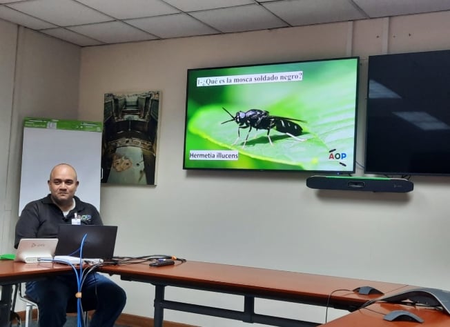 Gilberto Bolaños, del Smithsonian, explica detalles de la Mosca Soldado Negra. (MiAmbiente)