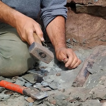Las cáscaras porosas sugieren que los huevos permanecían enterrados bajo tierra o plantas (Fernando Novas)