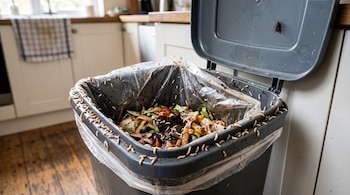 Un bote de basura abierto contiene restos de comida orgánicos, docenas de larvas blancas en sus bordes y una mosca posada en la tapa.