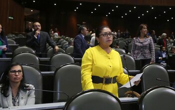 La diputada del PES fue el segundo caso de COVID-19 en la cámara de diputados (Foto: Twitter)