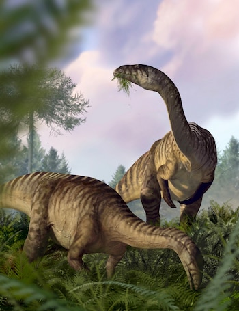 Reconstrucción artística de dinosaurios saurópodomorfos