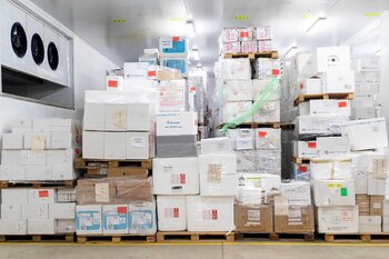 En total son alrededor de