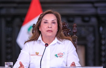 Los plazos dependerá de cuándo