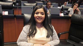 El asesor de la senadora