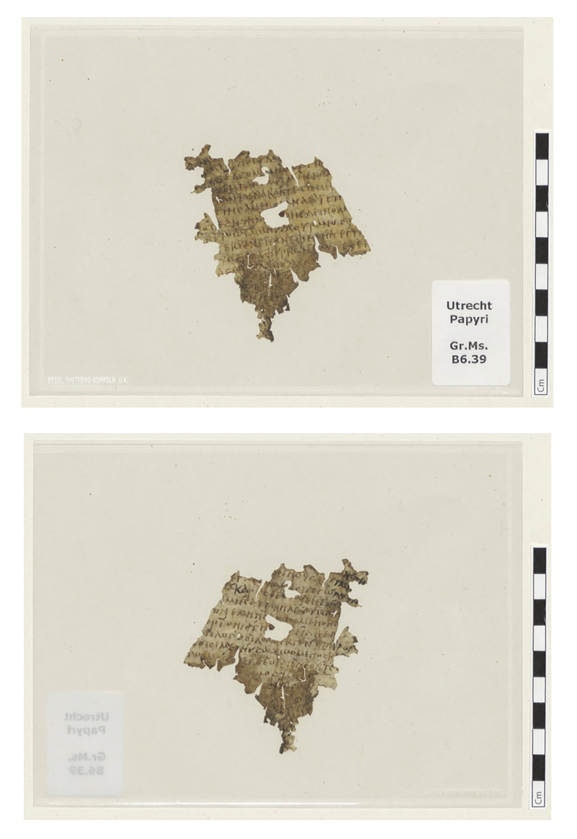 La Biblioteca de la Universidad de Utrecht identificó un fragmento de