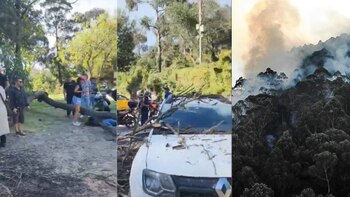 En la tarde del 24 de enero fueron tres personas las que resultaron heridos luego de que cayera un árbol mientras veían el incendio del cerro El Cable en Bogotá - crédito @pablogo1998/X