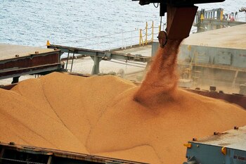 La marcha de las exportaciones