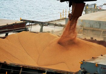 La marcha de las exportaciones