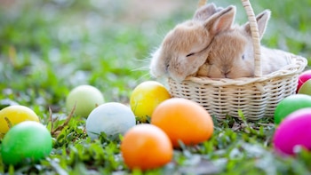 Las mejores frases para celebrar la Pascua en tus redes sociales