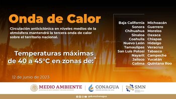 Al menos 20 estados tendrán