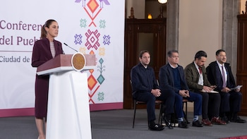 Sheinbaum revela que David Kershenobich,