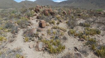 El INAH recuperó 2 mil