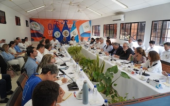 Guatemala planteó preparar junto con Belice y la OEA la etapa posterior al fallo de la CIJ mediante una hoja de ruta sobre capacidades técnicas e institucionales.