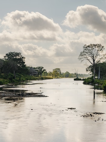 Vista de un río con orillas cubiertas de árboles y vegetación densa, una construcción parcial en la izquierda. El cielo está nublado y hay rocas en el agua