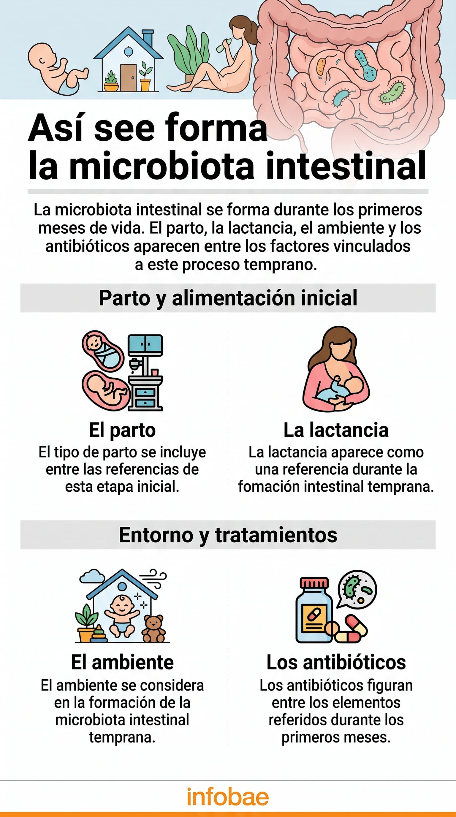 La lactancia materna se asocia con una mayor abundancia de bifidobacterias en el intestino del bebé (Imagen Ilustrativa Infobae)