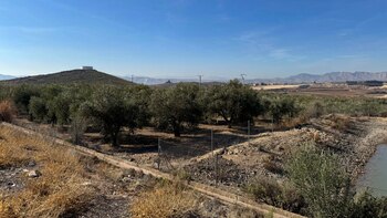 Hallado el cadáver de una