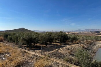 Vista del emplazamiento donde ha