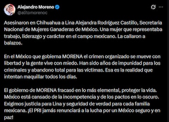 El priísta culpó a Morena de la violencia que vive actualmente el país y aseguró que fracasó en lo más elemental, que es proteger la vida.