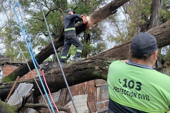 Un árbol cayó sobre una vivienda y destruyó dos casas en Rosario: una madre y sus tres hijos quedaron atrapados