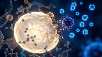 Descubrieron cómo el virus de la gripe desmantela el interior de las células humanas para replicarse