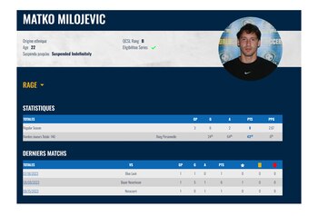 El perfil de Marko "Milojevic"