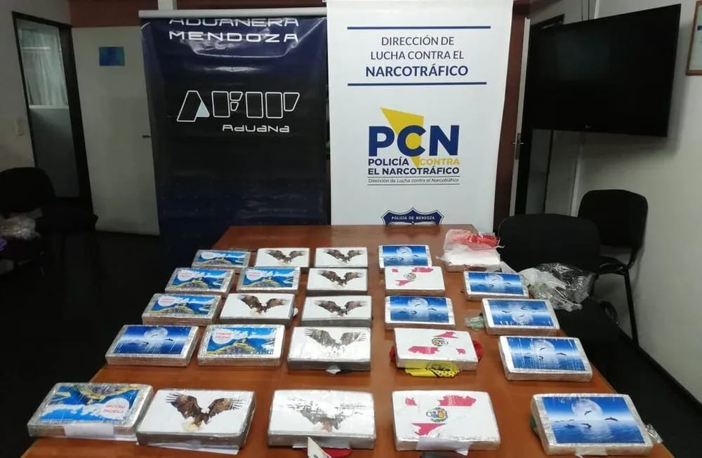 Los panes de cocaína secuestrados en julio de 2020 en Mendoza