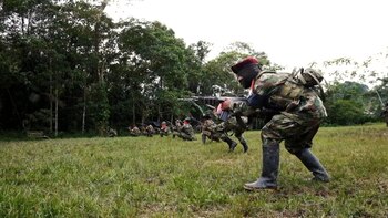 Diálogos rotos, ceses de fuego