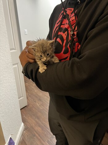 Los amigos del oficial aseguraron