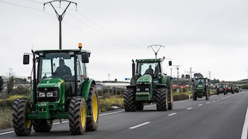 Gobierno aprueba ayudas de más