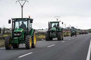 Imagen AN2CMKE2A5G7BINXEIMKQB4P7A