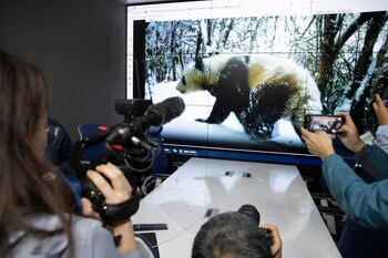 Imagen AN2IB5YJ6ZB2LPRN22PID7S3ZQ