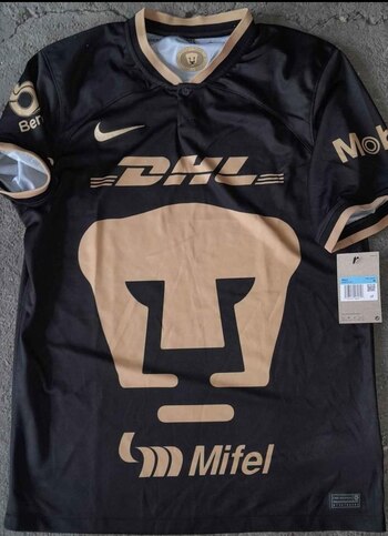 (Foto: Twitter/eltiopumaregio)