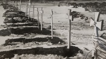 Stalingrado, la sangrienta batalla donde