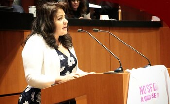 Nestora Salgado acusó que ni