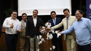 Nueva variedad de algodón de la UNALM promete impulsar la industria textil peruana. (Foto: Agencia Andina)