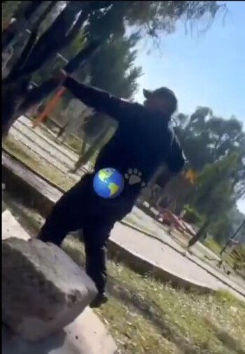 Crédito: X/@MundoPatitas