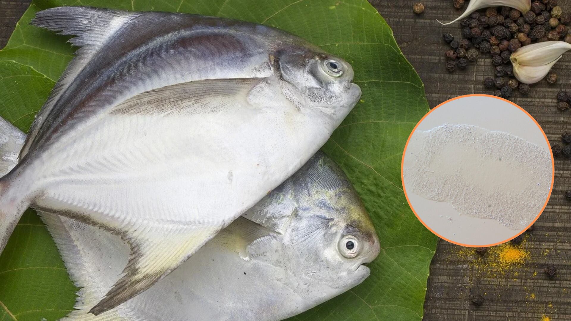 Nuevo parásito es hallado por científicos en peces consumidos localmente en la Amazonía. Composición Infobae Perú.