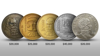 Estos son los cinco ejemplares.