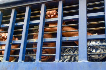 Los acusados son trasladados tras conocer la sentencia (AFP)