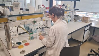 Los expertos de la UNAM