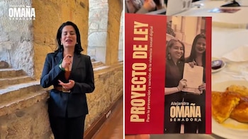 Proyecto de ley liderado por Amaranta Hank busca castigar la violencia sexual digital y las imágenes falsas con IA: “Sancionar la difusión no consentida de contenido íntimo”