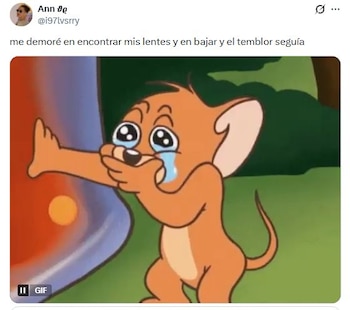 Frases como “el 2025 se