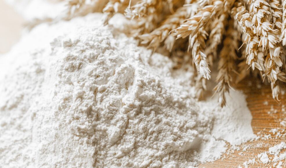 La calidad de la harina devenida de las nuevas opciones genéticas será otro punto a evaluar en detalle (Revista Chacra)