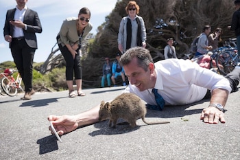 Al respetar estas normas, los