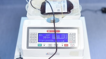 Un experto destaca que las