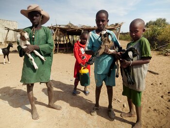 Los 33 países “de muy