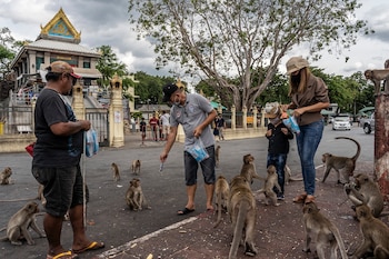 Un guía (a la izquierda)